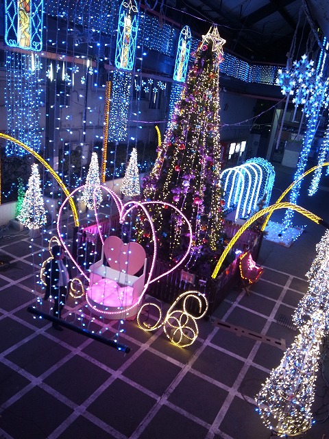 R1302130.jpg