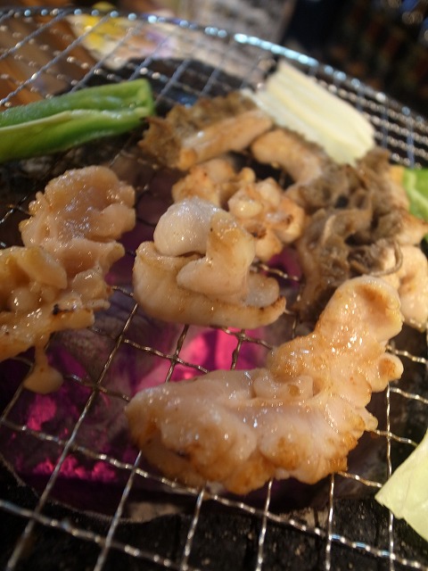 R1303943.jpg