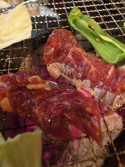R1303948.jpg