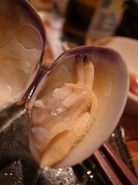 R1304300.jpg