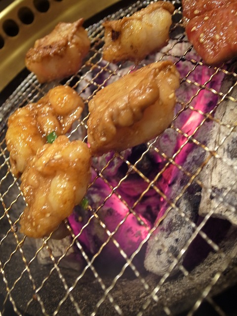 R1305890_1.jpg