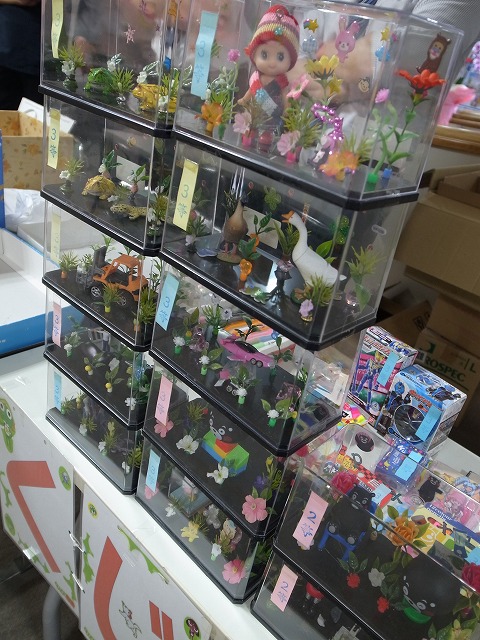 R1306847.jpg