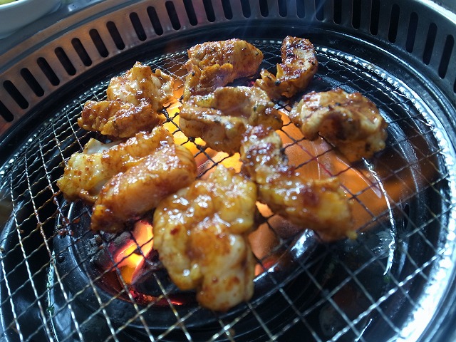 R1311657.jpg