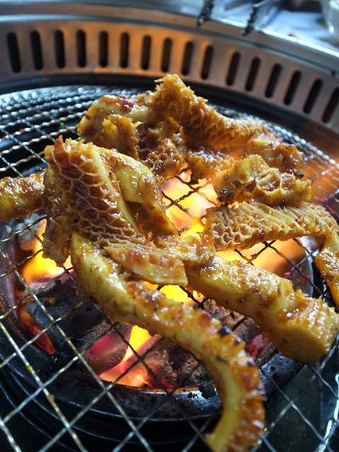 R1311675_1.jpg