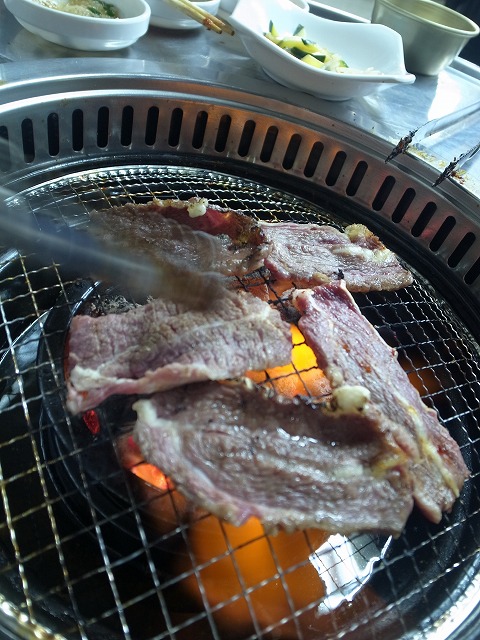 R1311684_1.jpg