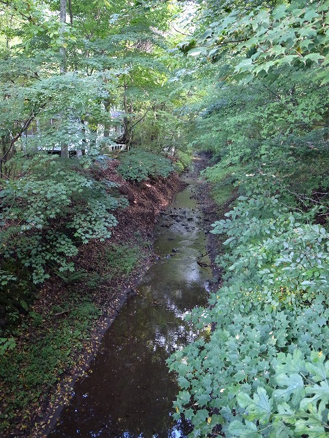 R1300794.jpg