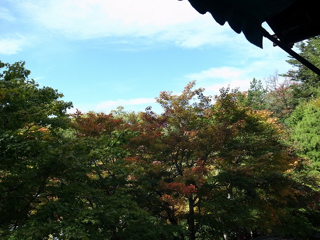 R1300824.jpg