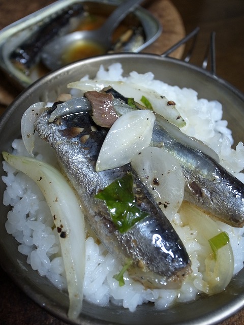 R8307727.jpg
