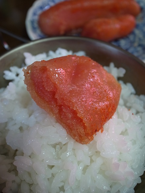 R8309002.jpg