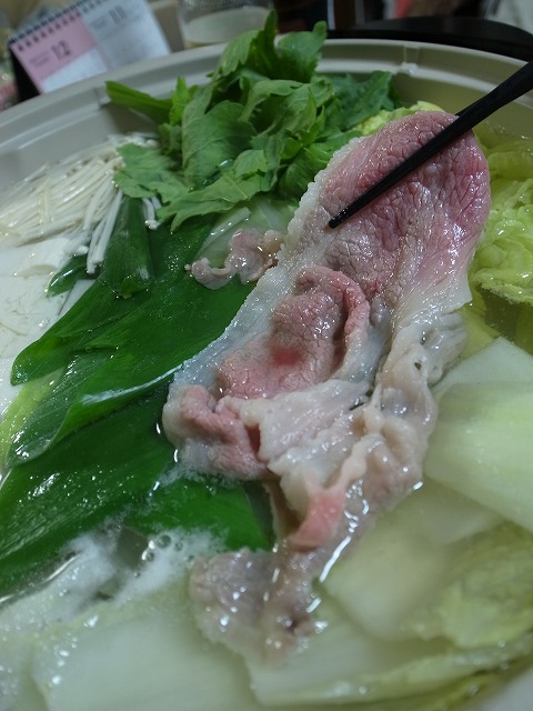 R8321900.jpg