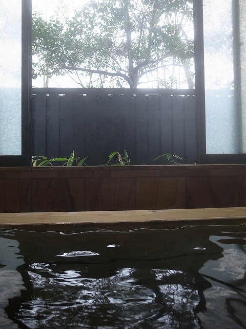 R8324276.jpg