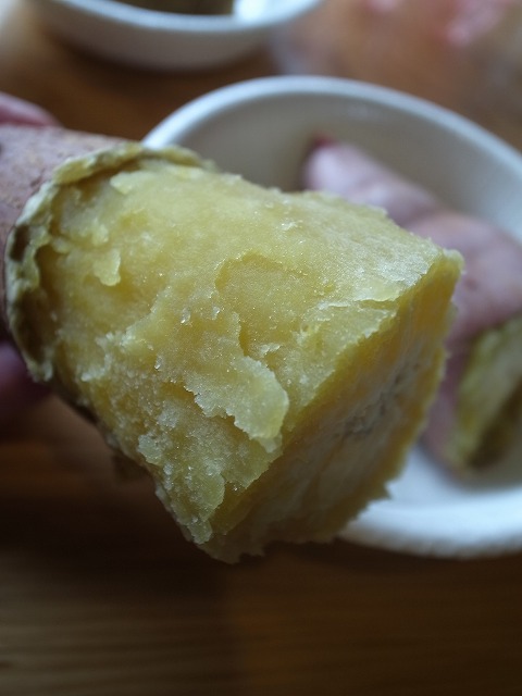R8324302.jpg