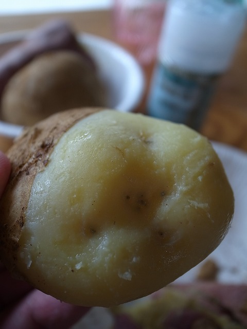 R8324305.jpg