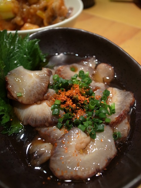 R8324662.jpg