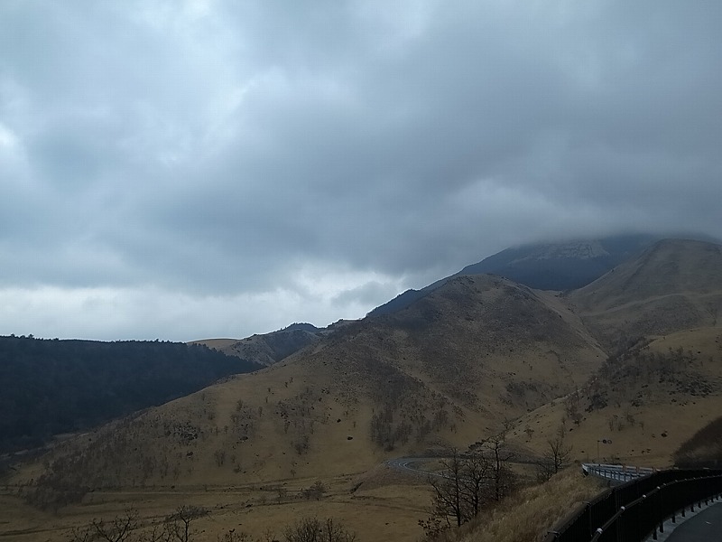R8342112.jpg