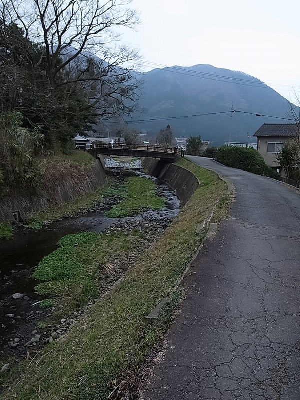 R8342125.jpg