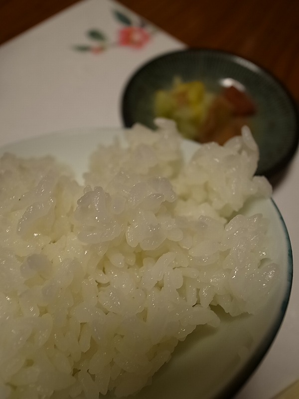 R8342262.jpg