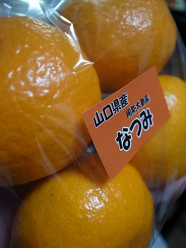 R8348463.jpg