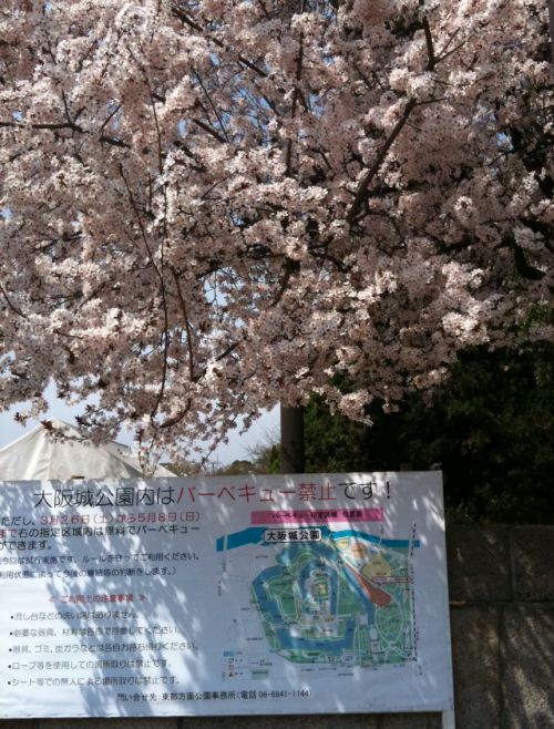 さくら2011大阪城公園v2