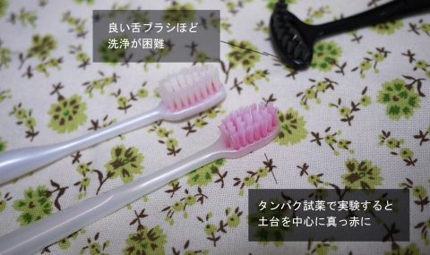 菌の培養器 で歯を洗う恐怖