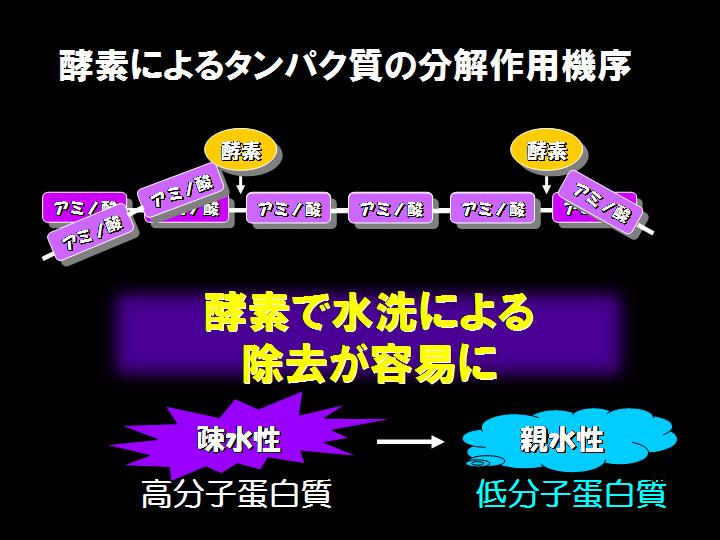 特殊酵素の働きで疎水性に