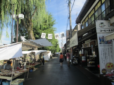 朝
