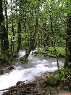 110728_1328~0001.jpg