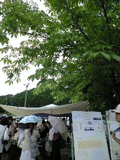 110806_1102~0001.jpg