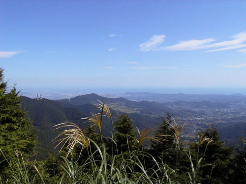ヤビツ峠付近