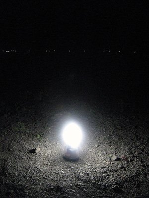 lamp