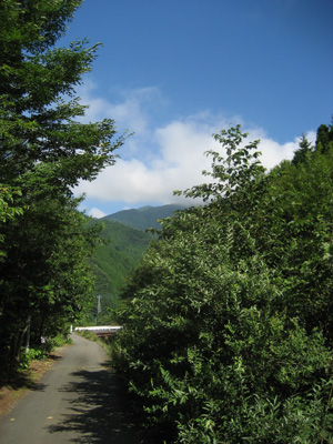 michi