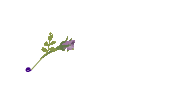 ¥µ¥¤¥ó