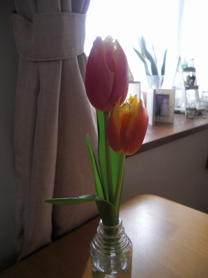 090413a