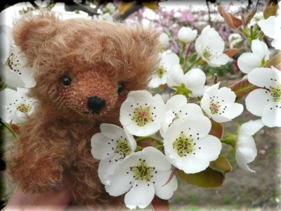 梨の花♪
