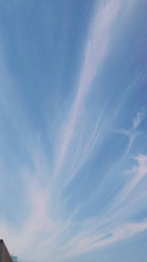 2015053012590000.jpg