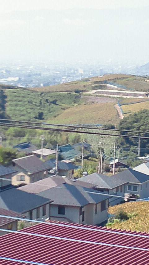 2015100311090000.jpg