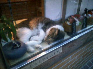 20100703001348.jpg