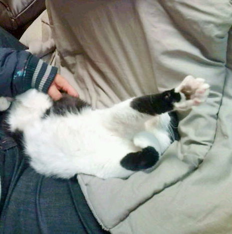 20110130221907.jpg