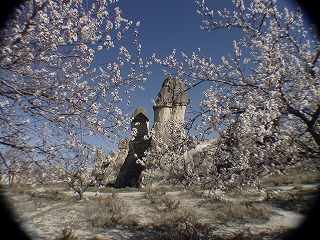 060327_turkey02