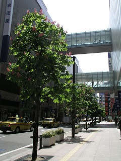 060427_trip04