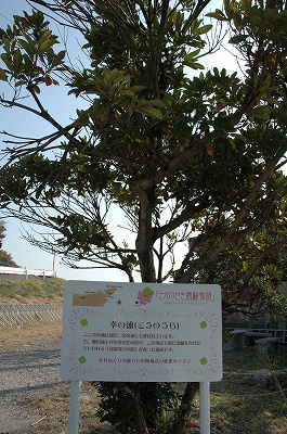 071202_seki01
