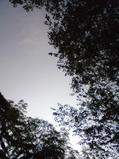 070819_0741~01.jpg