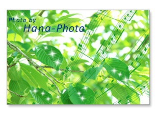 若葉 新緑 緑 楽譜 合成 葉 桜 さくら サクラ グリーン 緑