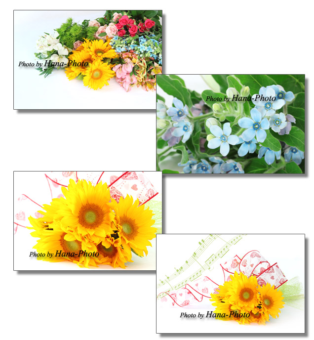 ブルースター 花 花材 アルストロメリア バラ ひまわり カーネーション 緑 ピンク ひまわり ヒマワリ 夏