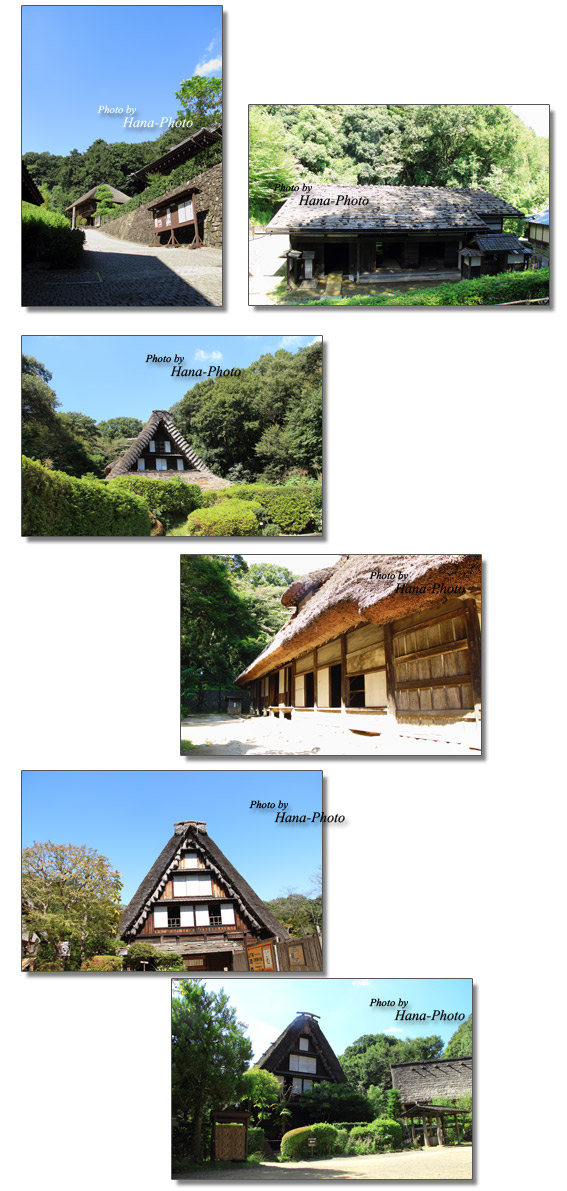 日本民家園 合掌造り 茅葺屋根 茅葺 民家園 古い家