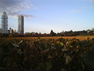 20051211_81861.jpg