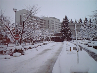 20060203_111610.jpg