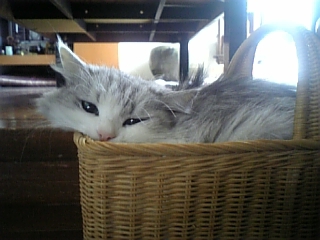 20060614_180483.jpg