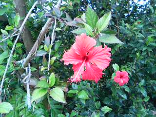 20061231_273834.jpg
