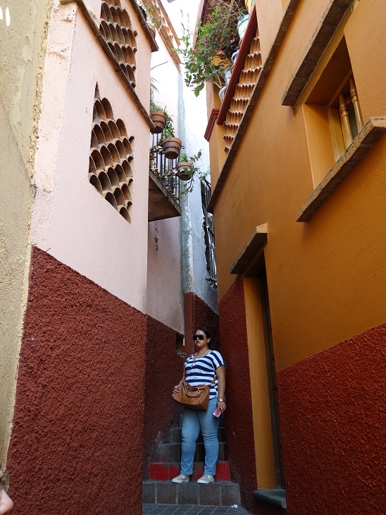DSC03541.jpg